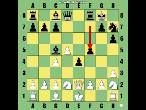 Partija koja i danas oduševljava Paul Morphy BR:6