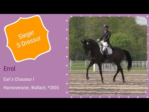 🌟 rimondo Ranking 2021🌟  Sieger S-Dressur (Deutschland) 🏆