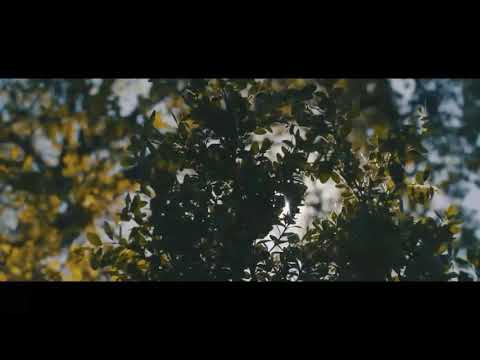 Exell'Lino - Perfect Day x A'i'kay (video official lirik)