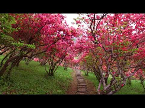 風呂山公園（塙町）