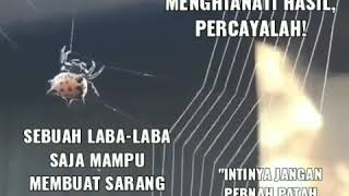 Download lagu Status wa 30 detik motifasi hidup lagu ' KLENIK GENK X NDARBOY GENK - manut dalane ' mp3 Download lagu Status wa 30 detik motifasi hidup lagu ' KLENIK GENK X NDARBOY GENK - manut dalane ' mp3