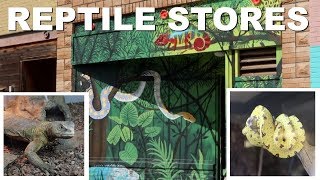 EXPLORING NEW REPTILE STORES by Pickles12807