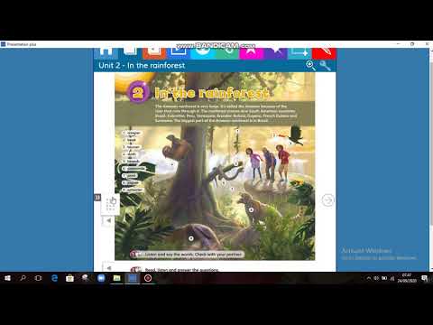 In The Rainforest part 1