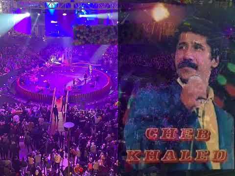 Cheb khaled   Nti Sbabi
