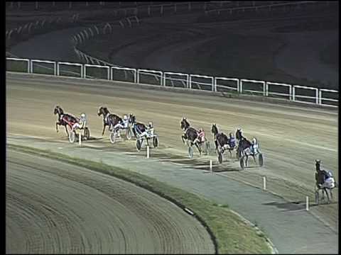 Trotto 23/07/2016 - 4° prova di qualifica