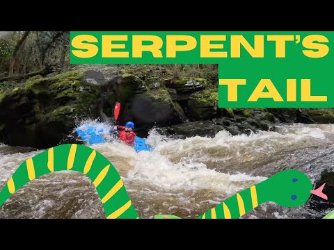 Serpent's Tail—A Fresher's Guide