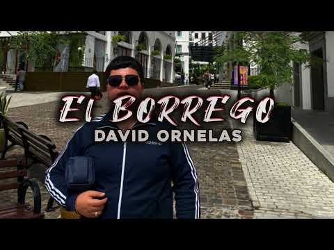 David Ornelas - El Borrego (Estudio 2022) "letra"