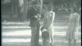 Feel Of The World--Tift Merritt