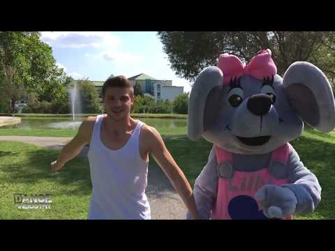 Reiters Lilly Maus Song ft. Dance Industry 2017