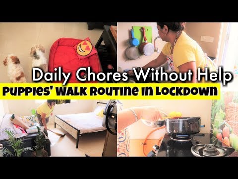 How Do I Manage My Daily Chores Without Any Help | How Do I Take My Puppies Out In Lockdown