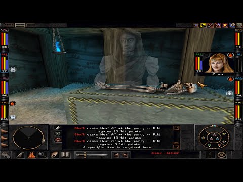 Let’s Play Wizardry 8 – Ironman Expert 33 – Sea Caves: Mad Marten