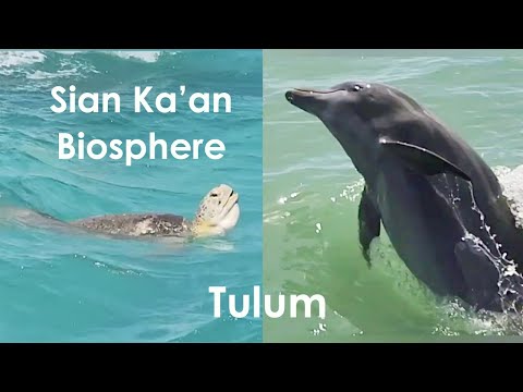 Sian Ka'an Biosphere, Tulum, Mexico