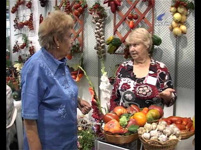 «Академия на грядках» за 27 августа 2013 г.