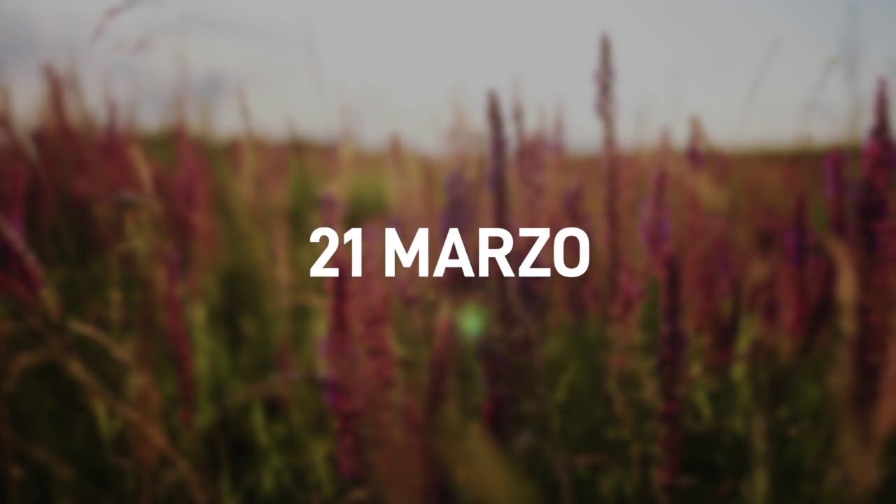 21 Marzo 2025 | Meditazione Parole di Vita