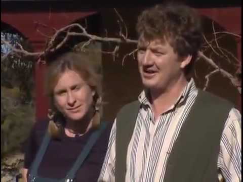 Blue Heelers - 6x34 Paradise Lost