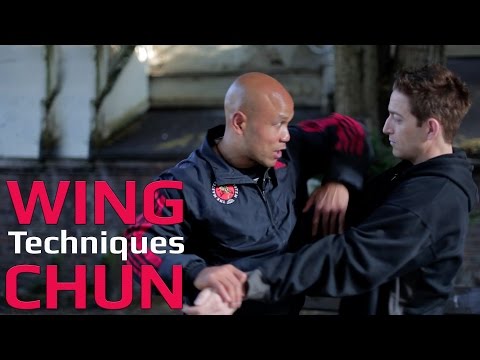Wing Chun techniques wing chun kung fu - grab and down wards elbow
