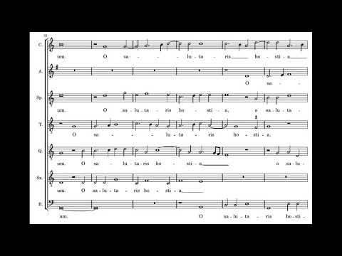 Willaert: Verbum supernum prodiens - Singer Pur