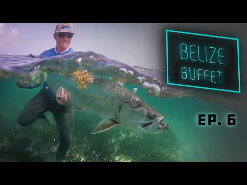 Belize Buffet - Tarpon and Permit Fly Fishing!