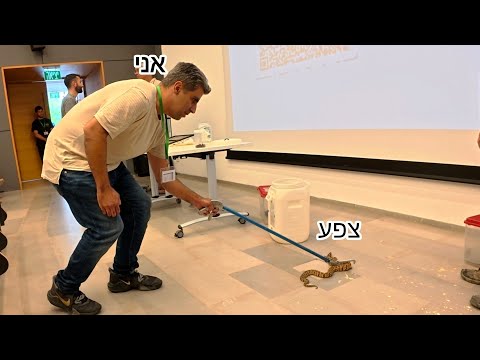תמונה של ששי לוכד
