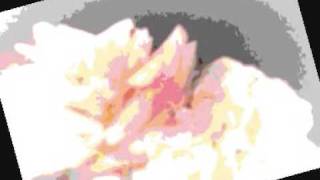 &quot;Help me Out&quot;  Rock  The Clarks