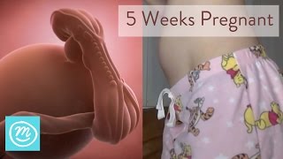 5 Weeks Pregnant: What You Need To Know - Channel Mum