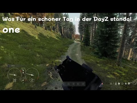 DayZ_ Was Für ein dickes Ding