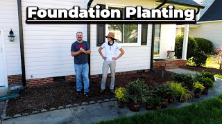 Foundation Plant Ideas - One Day Landscaping
