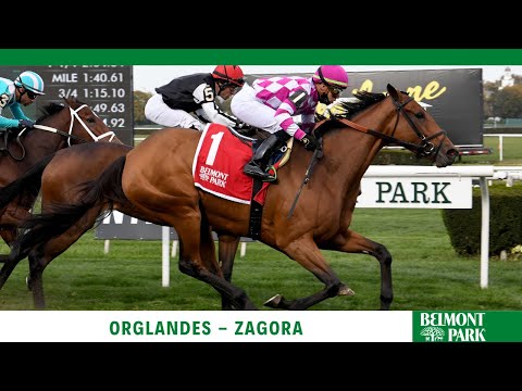 Orglandes - 2021 - The Zagora