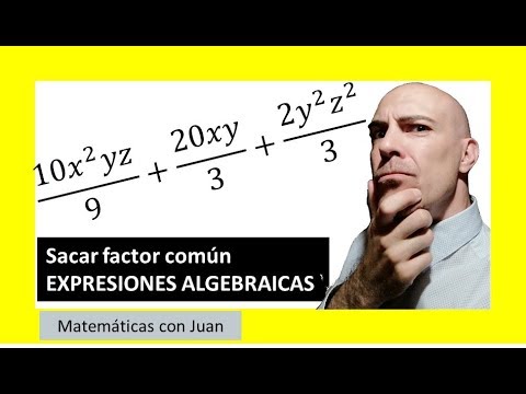 ▷ Cómo sacar el factor común de expresiones algebraicas
