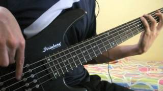 Toy Warehouse, Genius (bass cover)