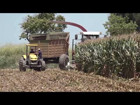 Coop. Las Dos Provincias brinda asesoramiento y productos de nutrición, semillas y fitosanitarios