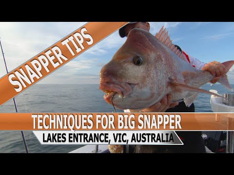 Fishing Edge episode - How To Catch Snapper Off Shore