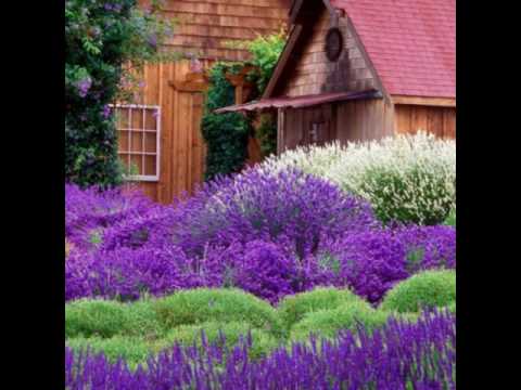 Mãi là của nhau - Hương Giang