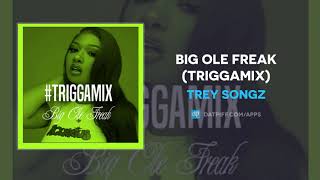 Trey Songz &amp; Megan Thee Stallion - Big Ole Freak (TriggaMix) (AUDIO)