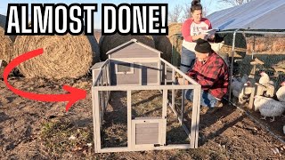 Unboxing & Assembling the Aivituvin AIR60: Perfect Coop for Growing Rare Chickens!