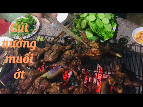 Cách làm Chim cút nướng muối ớt |món nhậu khoái khẩu ngon nức mũi | Hoà tâm Tv