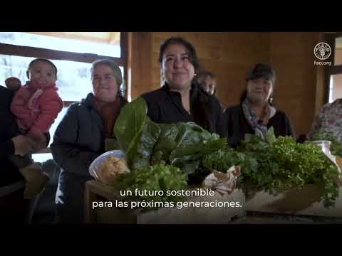 Chile: cierre proyecto SIPAN: principales avances y resultados