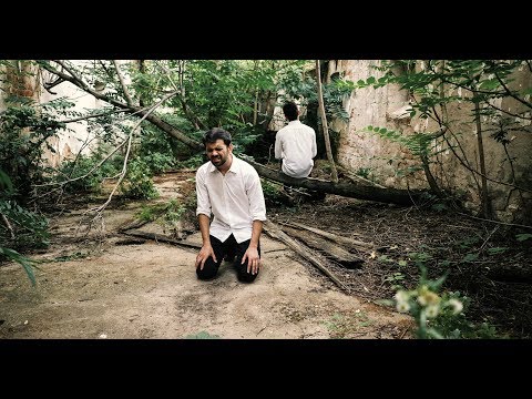 Codruț și Cătălin Ciuculescu - Uneori [Official 4k]