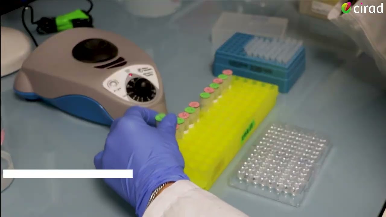 Tutoriel ELISA : diagnostic sérologique sur la trypanosomose animale
