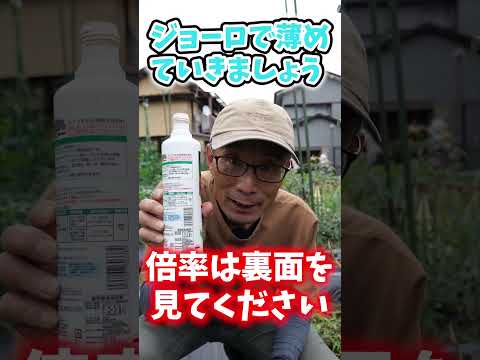 自家製の天然肥料: 植物に肥料を与えて栄養を与えるためにどのような注入液を調合すればよいでしょうか?  庭園