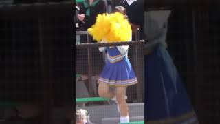 高校野球  二松学舎大附属高校　応援団チアリーダー