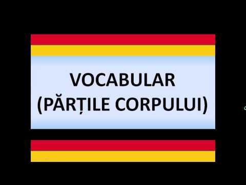 Learn German | fast and easy | BODY PARTS