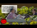 Taskmaster Australia Series 2 Episode 4 Oink Oink B S