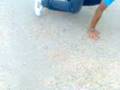 Povo Do Elmazter Muito Doido
