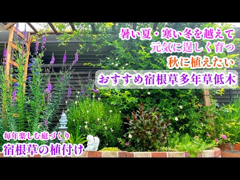 多年生ベッドの植物の間隔 トピックス