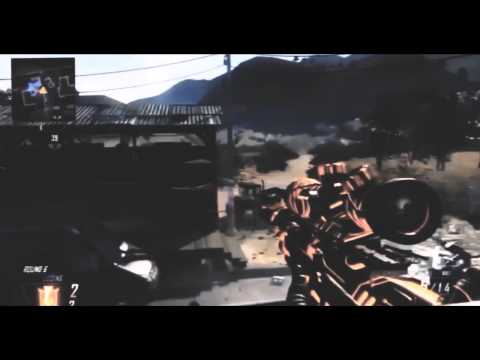 InFa Padrex: Aeolist Rai & Aeolist BmoG.