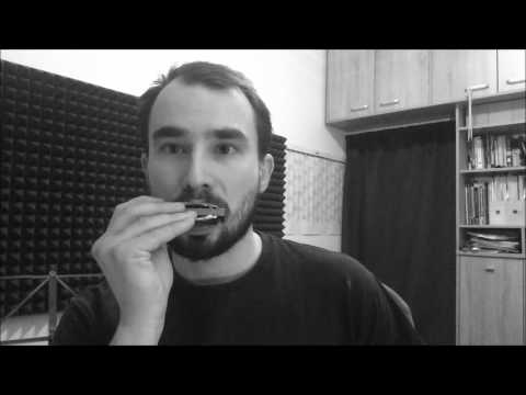 Juraj Schweigert - Harmonica Lesson: Black Sails Series Intro Song