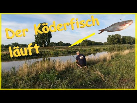 Ansitz Angeln am Fluss mit Wurm und Köderfisch