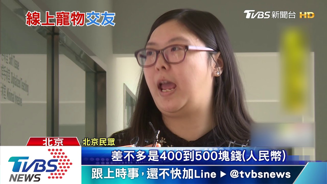 飼主年輕化 陸寵物APP佔據排行榜