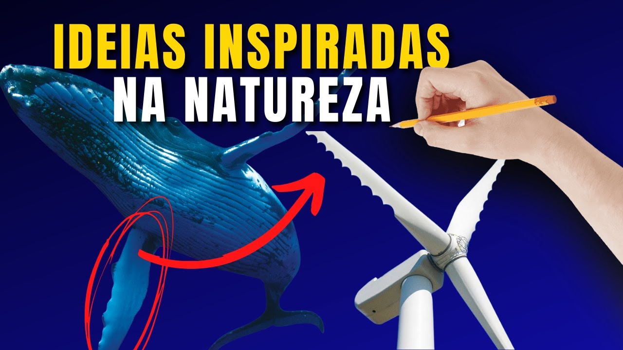 BIOMIMÉTICA: IDEIAS INCRÍVEIS inspiradas na NATUREZA